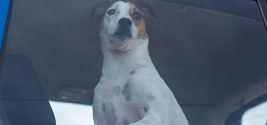 Car Lockout Solutions in Camarillo, California